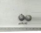 Click for 1 image(s) for this accession. FRUIT